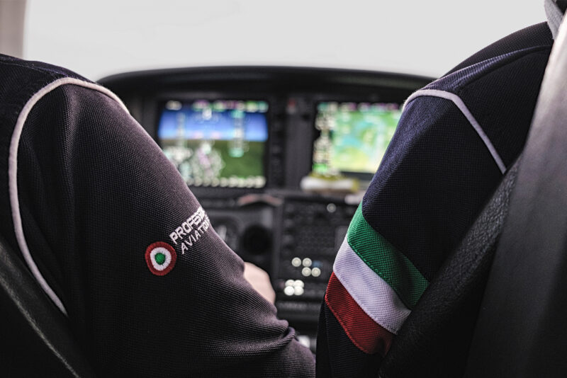 Professional Aviation Service Logo